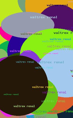 Valtrex renal